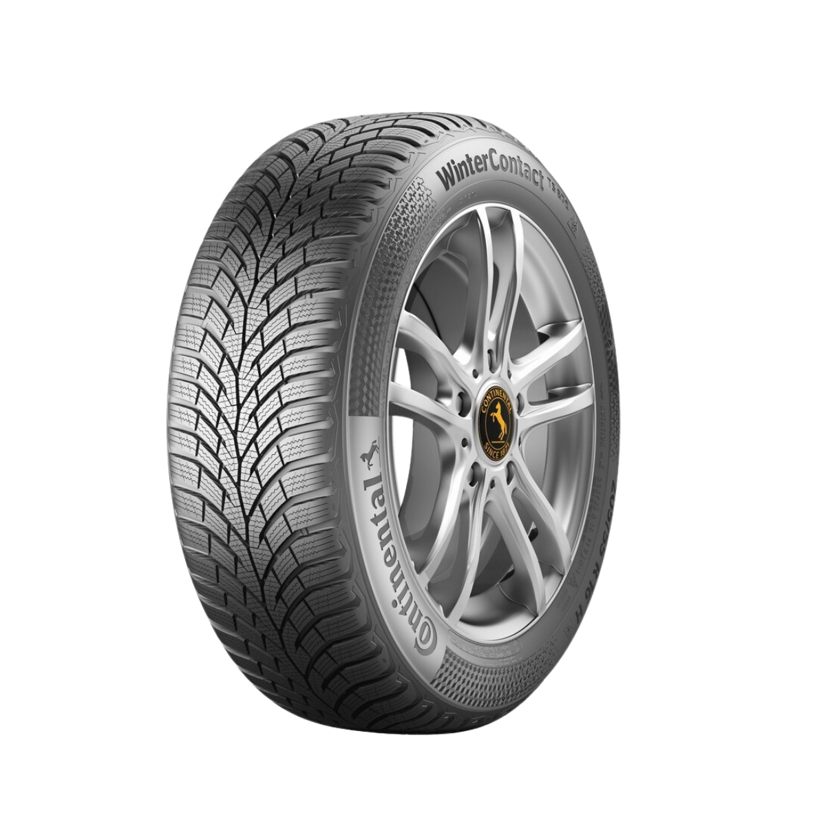 ContiWinterCTS870