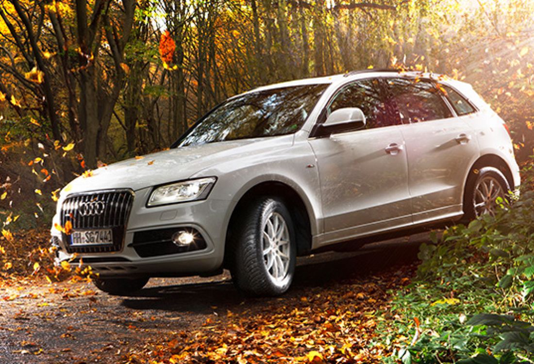 Goodyear d&aelig;k p&aring; Audi