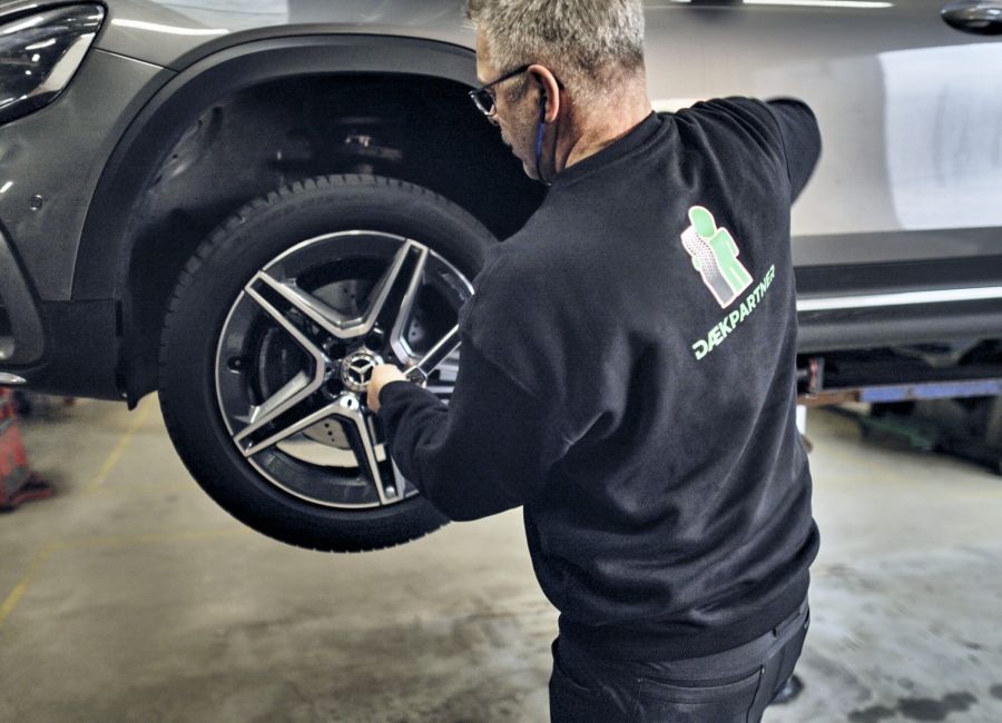 Vinterd&aelig;k i snevejr